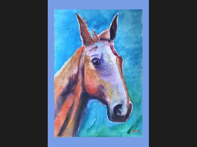 Horse
